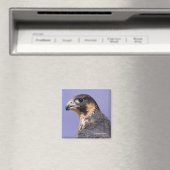 Profiel van een jeugdvalk magneet (Insitu (Vaatwasser))