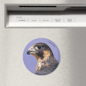 Profiel van een jeugdvalk magneet (Insitu (Vaatwasser))