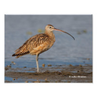 Profiel van een Lange-Bodemkromme