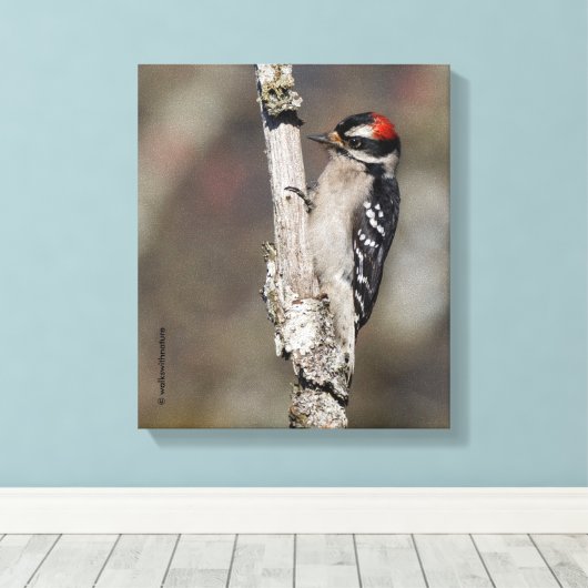 Profiel van een mannelijk neery Woodpecker Canvas Afdruk (Insitu (Houten vloer))