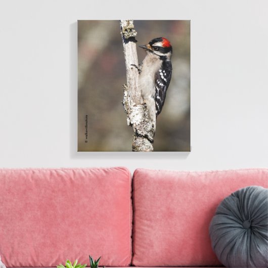 Profiel van een mannelijk neery Woodpecker Canvas Afdruk (Insitu (Woonkamer))