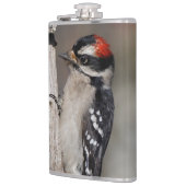 Profiel van een mannelijk neery Woodpecker Heupfles (Links)