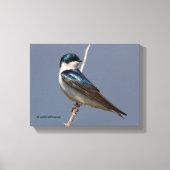 Profiel van een mannetjesboomzool in de zon canvas afdruk (Voorkant)