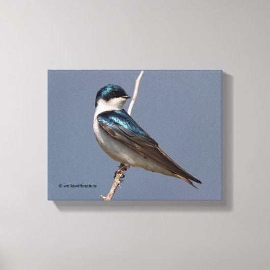 Profiel van een mannetjesboomzool in de zon canvas afdruk (Voorkant)