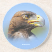 Profiel van een mooie jonge Golden Eagle Zandsteen Onderzetter (Voorkant)