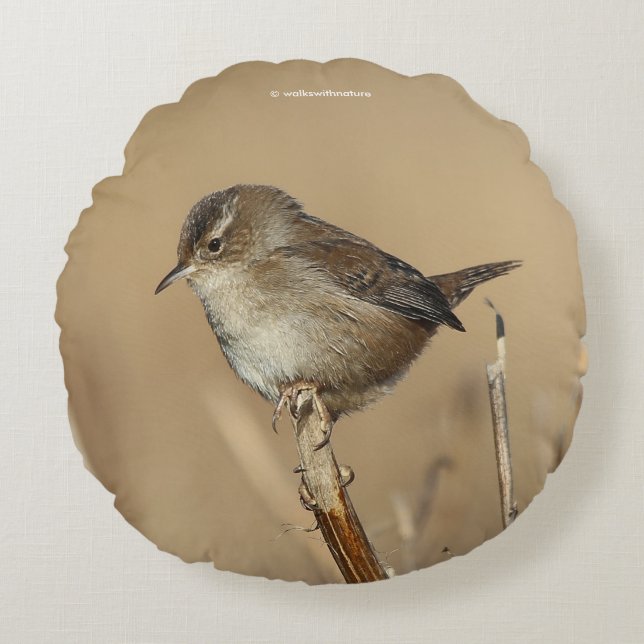 Profiel van een mooie Marsh Wren Rond Kussen (Voorkant)