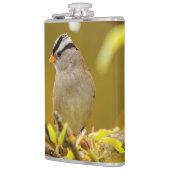 Profiel van een Pensive White-Crowned Sparrow Heupfles (Links)