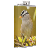 Profiel van een Pensive White-Crowned Sparrow Heupfles (Rechts)