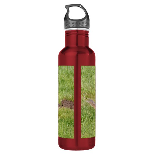 Profiel van een Ring-Necked Fheasant Waterfles (Achterkant)