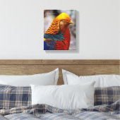 Profiel van een rode gulden fazant canvas afdruk (Insitu (Slaapkamer))