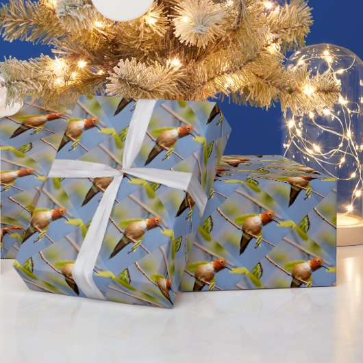 Profiel van een roofvogel cadeaupapier (Feestdagen)