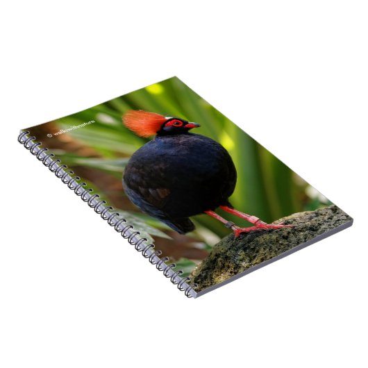 Profiel van een Roul-Roul Crested Wood Partridge Notitieboek (Rechterzijde)