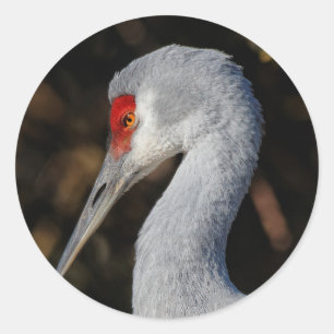 Profiel van een Sandhill Crane Ronde Sticker