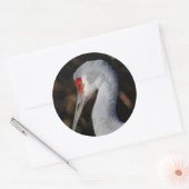Profiel van een Sandhill Crane Ronde Sticker (Envelop)