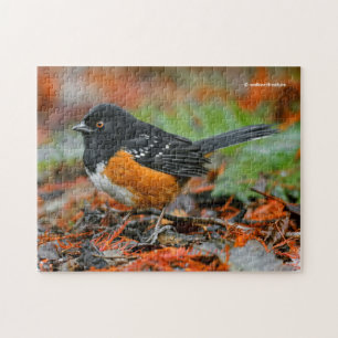 Profiel van een Spotted Towee Legpuzzel