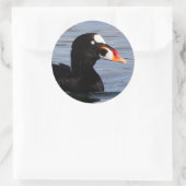 Profiel van een Surf Scoter Drake Ronde Sticker (Tas)