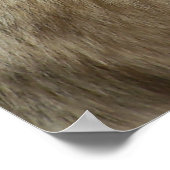 Profiel van een Wolf Poster (Hoek)