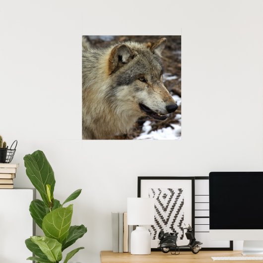 Profiel van een Wolf Poster (Thuiskantoor)