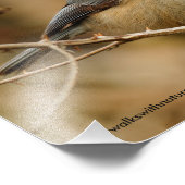 Profiel van een zwarte cichorei foto afdruk (Hoek)