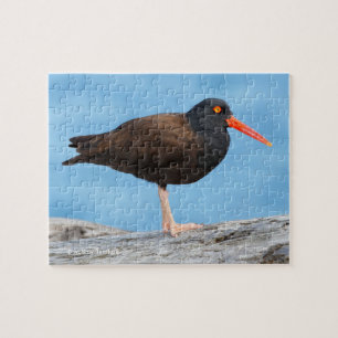 Profiel van een zwarte Oystercatcher Legpuzzel