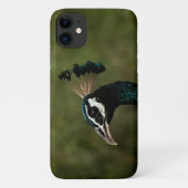 Profiel van pauw Case-Mate iPhone case (Achterkant)