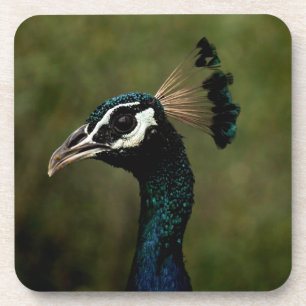 Profiel van Peacock Bier Onderzetter