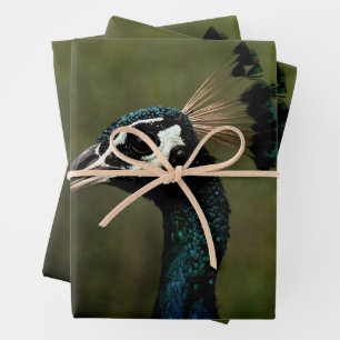 Profiel van Peacock Inpakpapier Vel