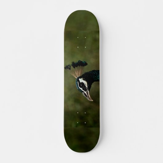 Profiel van Peacock Skateboard (Voorkant)