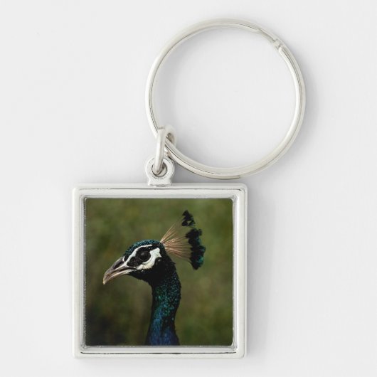 Profiel van Peacock Sleutelhanger (Voorkant)