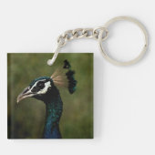Profiel van Peacock Sleutelhanger (Achterkant)