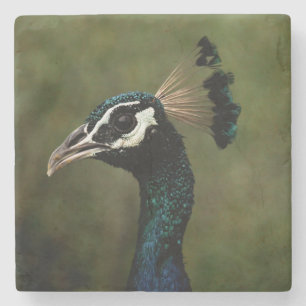 Profiel van Peacock Stenen Onderzetter