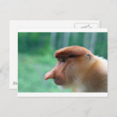 Profiel van Proboscis-aap Briefkaart (Voorkant / Achterkant)