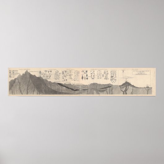 Profiel van stenen in de geschiedenis van de aarde poster (Voorkant)