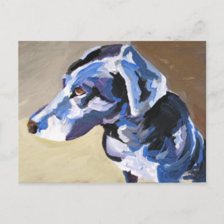 profil chien soleil Cartes postales