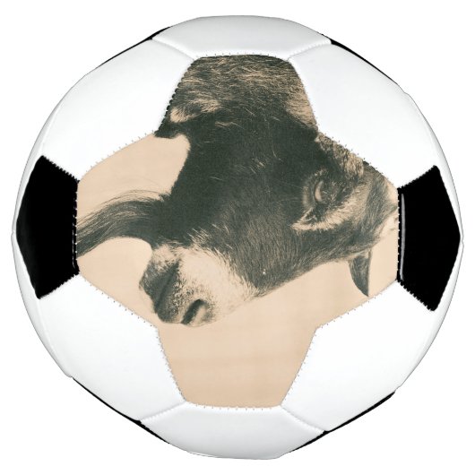 Profil de chèvre (Tourné)