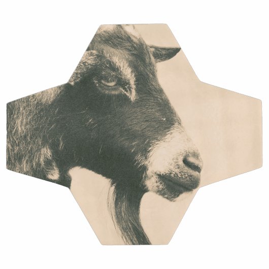 Profil de chèvre (Plat)