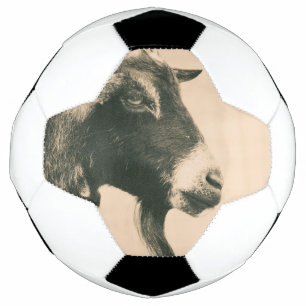 Profil de chèvre