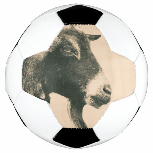 Profil de chèvre (Devant)