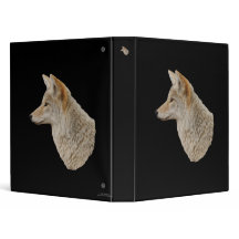 profil de coyote