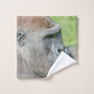 Profil de la corde de Gorilla