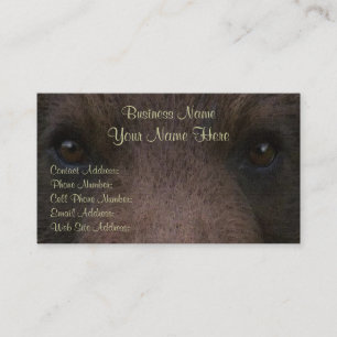 Profil et cartes de visite d'OURS GRIS