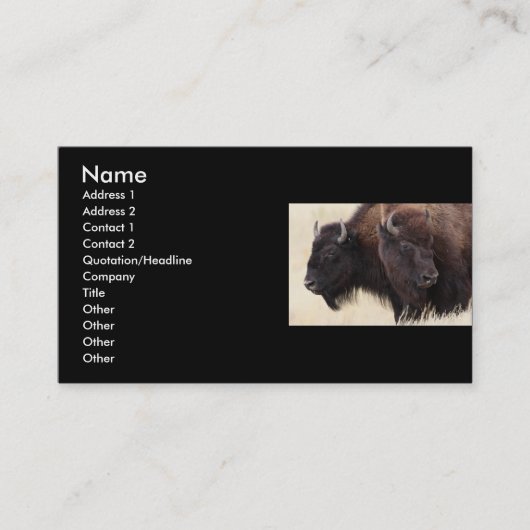profil ou carte de visite, bison (Devant)