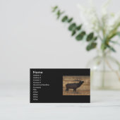 profil ou carte de visite, bugle d'élans (Debout devant)