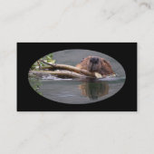 profil ou carte de visite, castor (Dos)