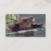 profil ou carte de visite, castor (Dos)