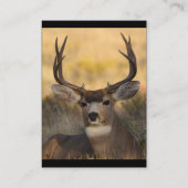 profil ou carte de visite, cerf commun (Dos)