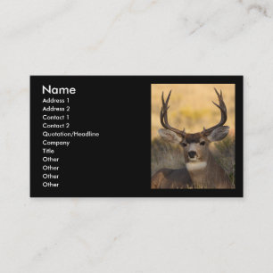 profil ou carte de visite, cerf commun