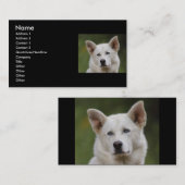 profil ou carte de visite, chien (Devant / Derrière)