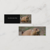 profil ou carte de visite, chien de prairie (Devant / Derrière)