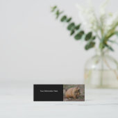 profil ou carte de visite, chien de prairie (Debout devant)